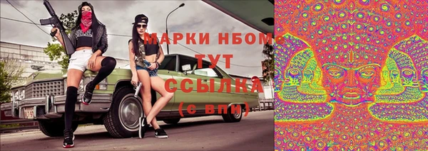 эйфоретик Кирсанов