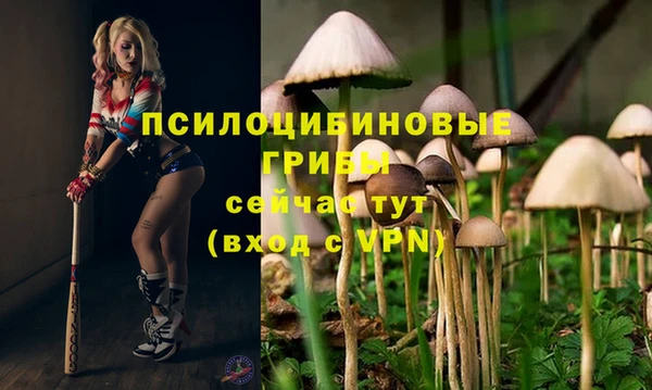 MDMA Premium VHQ Липки