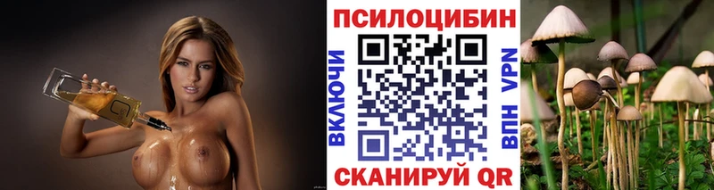 blacksprut рабочий сайт  наркошоп  Мариинск  Псилоцибиновые грибы ЛСД 