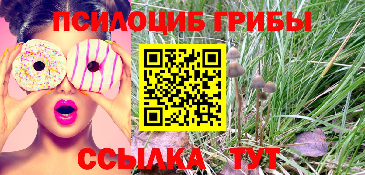 Псилоцибиновые грибы Magic Shrooms Мариинск
